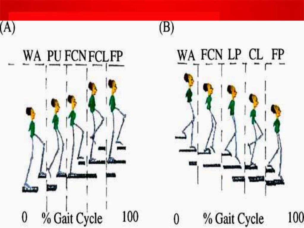 biomechanics of stair climbing