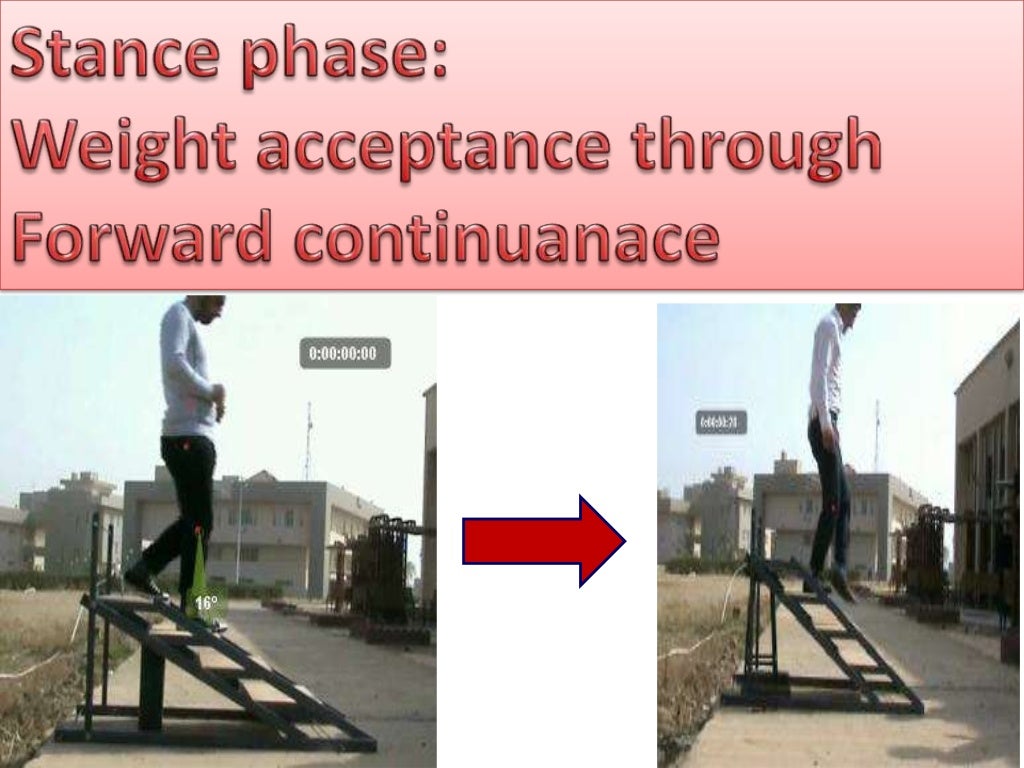 biomechanics of stair climbing