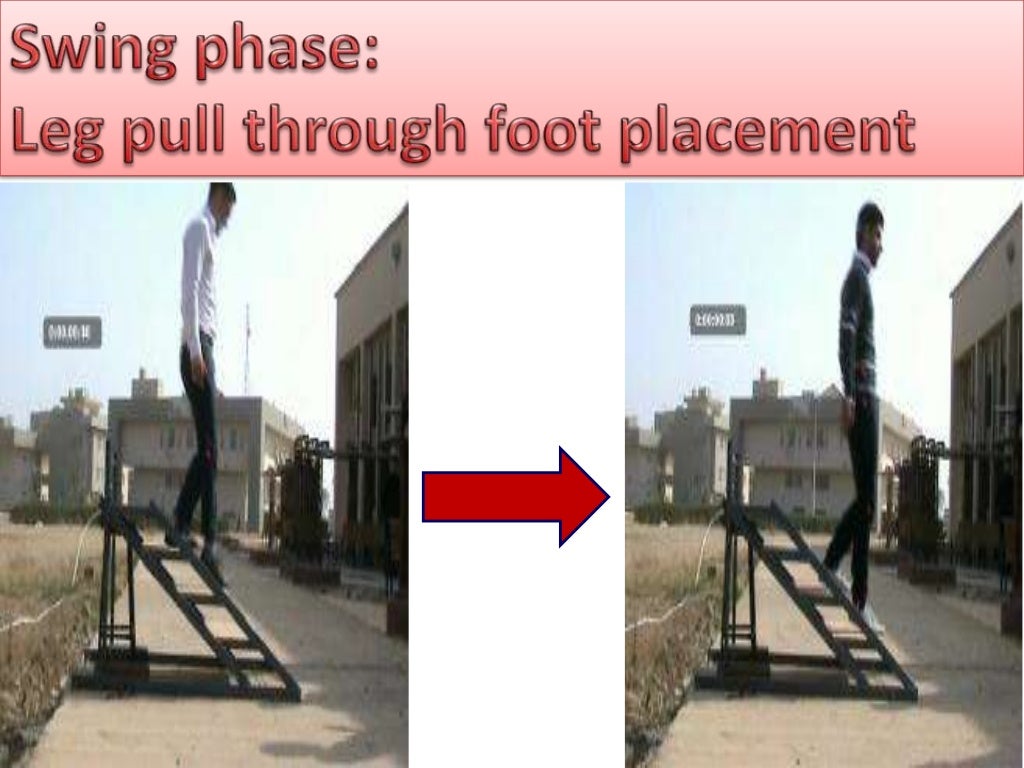 biomechanics of stair climbing