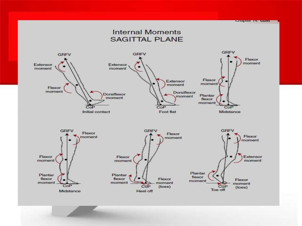 biomechanics of stair climbing
