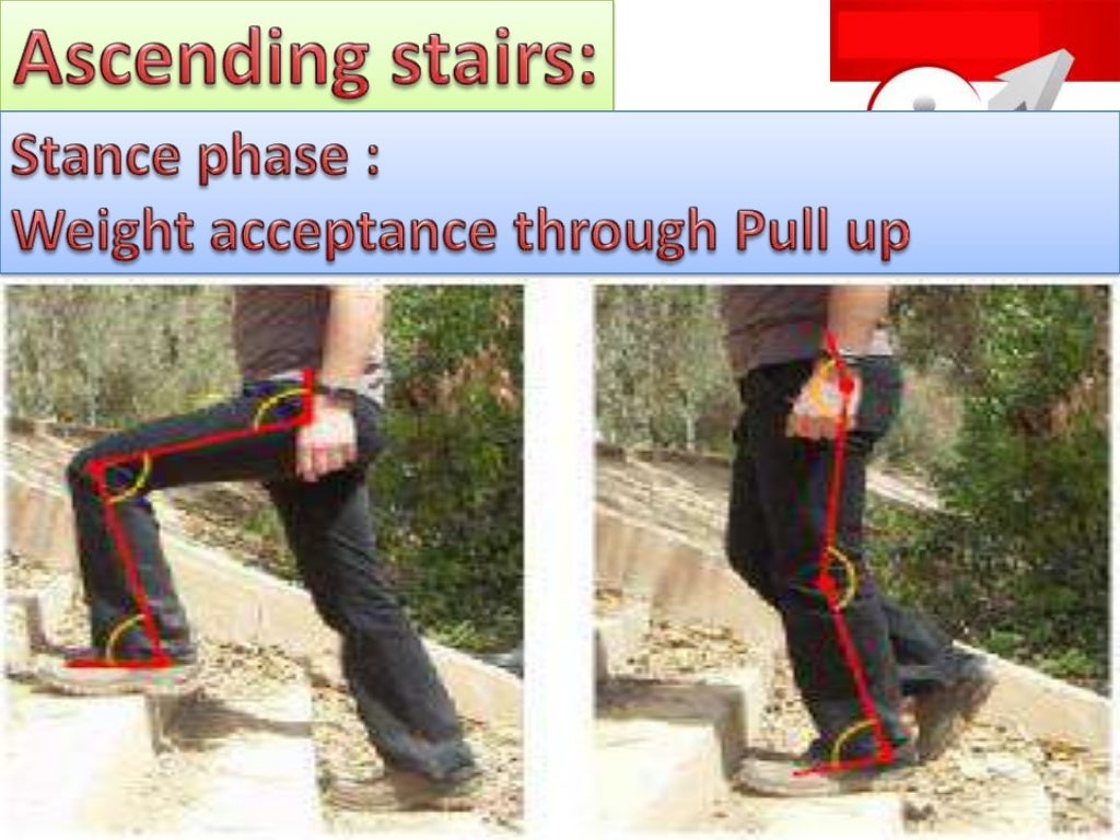 biomechanics of stair climbing
