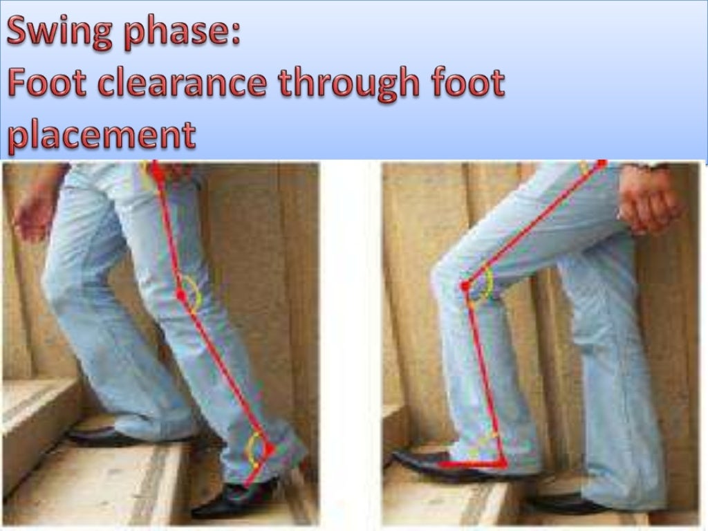 biomechanics of stair climbing