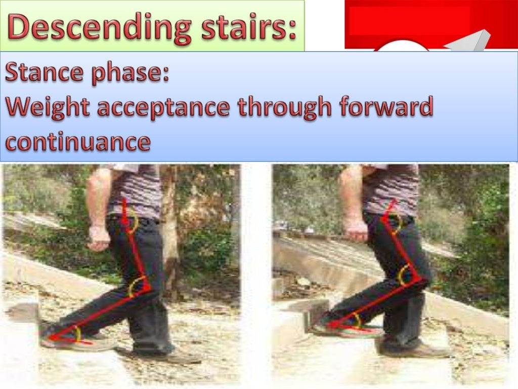 biomechanics of stair climbing