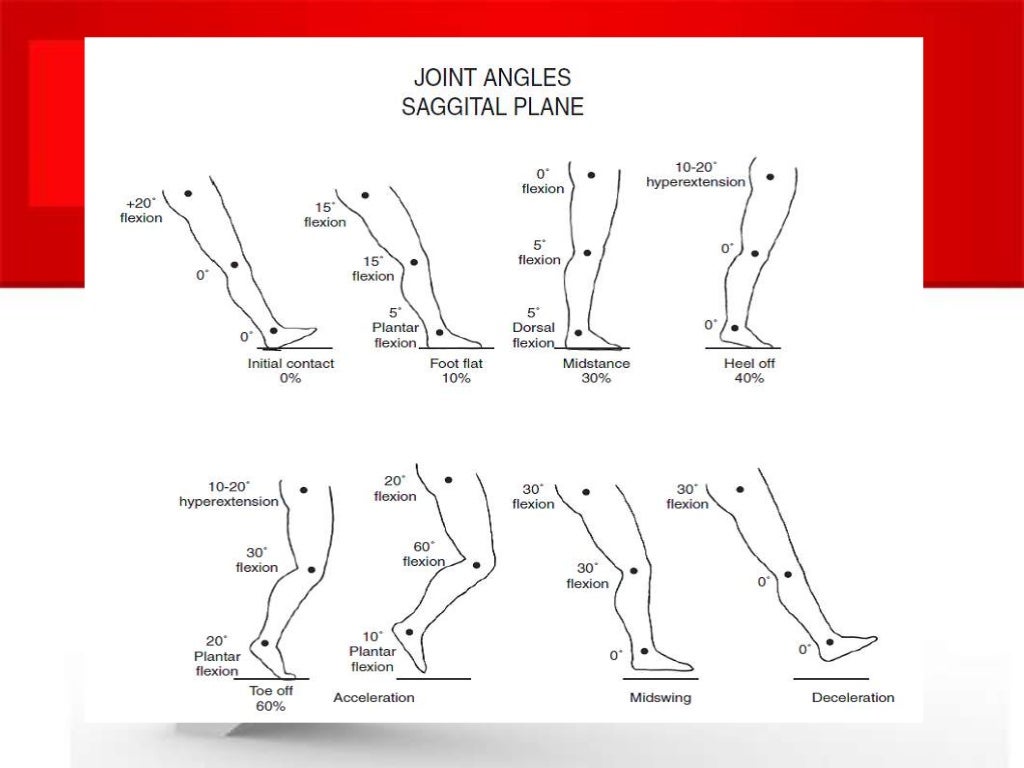 biomechanics of stair climbing