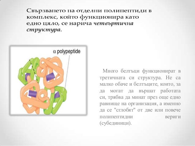Белтъци