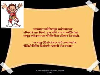 इंद्रिय संस्था