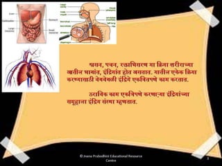 इंद्रिय संस्था