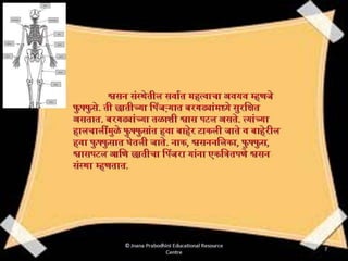 इंद्रिय संस्था