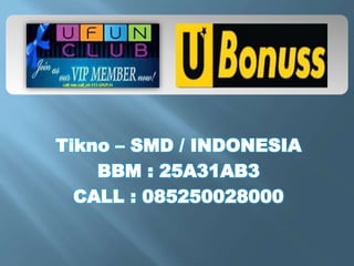 Tikno – SMD / INDONESIA
BBM : 25A31AB3
CALL : 085250028000
 