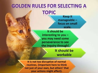 Keep it
manageable –
focus on small
scale.
It should be
interesting to you –
you may need some
perseverance to see
the inquiry through!
It should be
workable
It is not too disruptive of normal
routines. (Important here to think
not just of your own, but others’ that
your actions might affect).
 