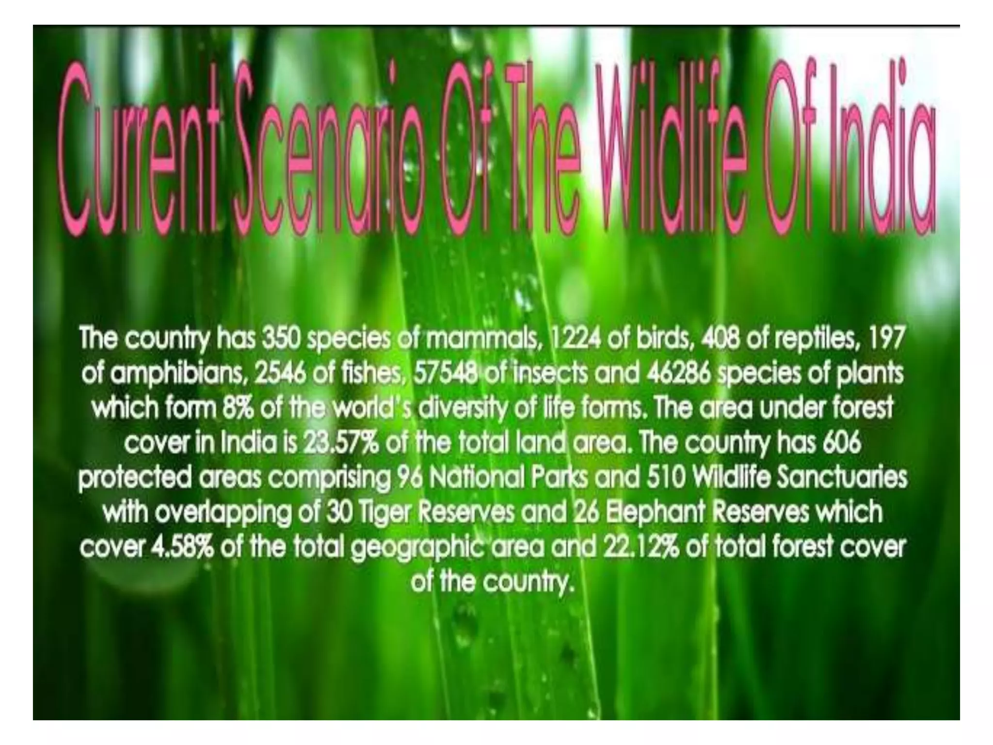 CONSERVATION OF FOREST AND WILDLIFE | PPTX