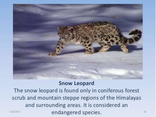 CONSERVATION OF FOREST AND WILDLIFE | PPTX