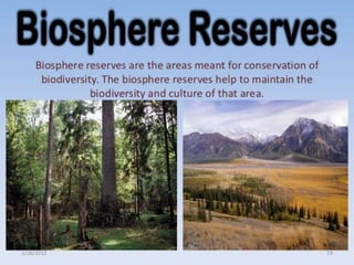 CONSERVATION OF FOREST AND WILDLIFE | PPTX