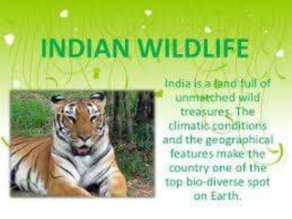CONSERVATION OF FOREST AND WILDLIFE | PPTX