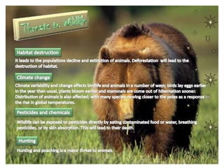 CONSERVATION OF FOREST AND WILDLIFE | PPTX