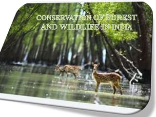 CONSERVATION OF FOREST AND WILDLIFE