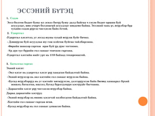 Эссэ хэрхэн бичих вэ? | PPT
