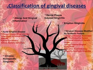 Classification of gingival diseases.
Eruption Gingivitis
Dental Plaque
Induced GingivitisAllergy And Gingival
Inflammation
Acute Gingival Disease
1)Herpes Simplex Virus Infection.
2)Recurrent Aphthous Ulcer
3)ANUG
4)Acute Candidiasis
5)Acute Bacterial Infections
Chronic
Nonspecific
Gingivitis.
Gingival Diseases Modified
By Systemic Factors
1)Gingival Diseases Associated
With The Endocrine System
2) Gingival Lesions of Genetic
Origin.
3)Drugs Induced Gingival
Overgrowth.
4)Ascorbic Acid Deficiency
Gingivitis (Scorbutic Gingivitis)
 