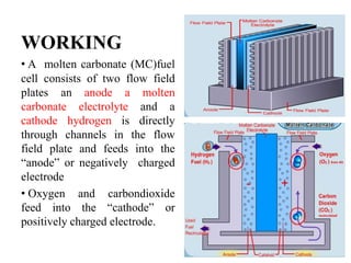 WORKING
• A molten carbonate (MC)fuel
cell consists of two flow field
plates an anode a molten
carbonate electrolyte and a
cathode hydrogen is directly
through channels in the flow
field plate and feeds into the
“anode” or negatively charged
electrode
• Oxygen and carbondioxide
feed into the “cathode” or
positively charged electrode.
 