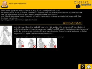 කැමරාව හරි හැටි අල්ලන්වෙ?
සමහරු හිත්‍න්න පුලුවන් යේර කිසිම ප්‍රයයෝජනයක් නෑ කියෙ, ඒ පනා යේරත් හු ක් වැදගත් යදයක්.
ඔද පුළුවන්ද රැමණාව ස්ථායීව දිගු යේොවක් එරම ආරාණය අල්ොයගන ඉන්න? ඔද ාාිතත්‍ා රණන්යන ිතශ්‍ාෙ රාච පව තියක් සහිත්‍ DSLR
එරක් නේ? හරිය රැමණාව අල්ෙගන්න දැරුව ඔද ගත්තු ඡායාරූප කීයක් යදොහ යවො තියයනවද?
අන්න ඒ හින්දයි, ඔද රැමණාවක් ගත්ත්‍ම ඒර නිවැණදිව අල්ොගන්නා ආරාණය ඉයගන ගත්‍ යුත්යත්. රැමණායේ නිවැණදි ග්‍රහයය ත්‍මයි, තියුණු
ඡායාරූපයර පාදම යවන්යන.
රැමණාව අල්ො ගන්නා ආරාණයරැමණාව අුවව යවනස් යවනව.
මූලික සිට ගැනීව්ප ඉරියේව
රැමණාව නළෙ සිණරණගත්‍ යුතුයි, වේ අයත් අල්ෙ පඩ රැමණායව දණ යදන්න, දදරැඟිල්යෙුවයි, මහප
ඇඟිල්යෙුවයි රාචය අල්ො ගන්න. දකුණු අයත් දදරැඟිල්ෙ පාිත්චිප රණන්න shoot යදොත්ත්‍ම ඔදන්න, අයනක්
ඇඟිලි 4න් රැමණාව අල්ො ගන්න.වැෙමිිය යදර ඇ හිණයවන්න තියාගන්න.ඔද tripod එරක් නැති නිසා
ත්‍ුකන්යග ශ්‍රීමණය tripod එරක් රණගන්න ඕයන රැමණාව .
පහළ තියයන ක්‍රම සේපූ්ණයයයන් වැණදි ක්‍රම. එය ඡායාරූපය වය ම රැමණාව ත් යහොහ නැති ක්‍රම.
 