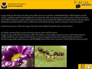 මැවරෝ ඡායාරූනකරණය |
Macro Photography
මැයක්‍රො යමෝඩ් එර තියයන්යන ඉත්‍ා කුඩා යවවල් සමීපව ඡායාරූප ගත්‍ රණන්න. (අන්වීක්ෂරක් ිතදිහ පාිත්චිප රණන්න යනයමයි
යහොයහේ ) යමහිී ඔද පුළුවන් මෙක්, රෘමියයක් වය යවවල් ඉත්‍ා සමීප යෙස ඡායාරූප ගත්‍ රණන්න. සාමානය ඩිජි ල් රැමණාවර
නේ එහි සීමාවක් තියදනව, යමොරද පාිත්චිප රණන්යන තියදන රාච පව තියම නිසා, DSLR එරක් පාිත්චිප රණනවා නේ ඔද පුළුවන්
macro lens පව තියක් පාිත්චිප රණන්න, එමගින් අල්යපයනති තුඩක් ත්‍ණේ කුඩා යවවල් වෙ ඡායාරූප පනත් ගන්න පුළුවන්.
දාගන්නයරො රැමණායව යමෝඩ් එර මැයක්‍රො යමෝඩ් එර (මෙර අයිරන් එරක් තියයන්යන, අන්න එත්‍න ).
දැන් ඉතින් යමොරක් හරි කුඩා යදයක් යත්‍ෝණායගන ඡායාරූප ගන්න ත්‍මයි තියයන්යන.
මැයක්‍රො ඡායාරූප ගැනීම සාමානය ඡායාරූප ගැනීම ත්‍ණේ යල්සි නෑ, යමොරද වස්තුව හු ාක් ෙන් යවො ඉන්න නිසා රැමණායව
යපොඩිම යසෙවීමක් පනත් යෙොකු යවනසක් රණනව, අත්‍ එයහම යහල්ලුයනොත් ඡායාරූපයම සවුත්තු යවන්න ඉඩ තියයනව.
එම නිසා මැයක්‍රො යමෝඩ් එයරන් ඡායාරූප ගැනීයේී tripod එරක් ාාිතත්‍ය ඉත්‍ාම ගැළයපනව. (ඇත්ත්‍ම කිේයවොත් ඉත්‍ාම වැදගත්)
 