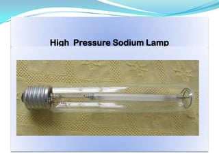High Pressure Sodium Lamp
 