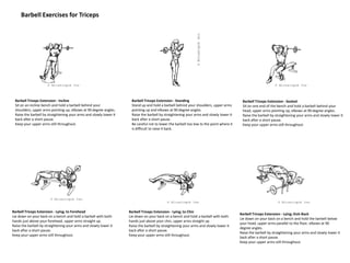 Barbell Exercises for Triceps
Barbell Triceps Extension - Incline
Sit on an incline bench and hold a barbell behind your
shoulders, upper arms pointing up, elbows at 90 degree angles.
Raise the barbell by straightening your arms and slowly lower it
back after a short pause.
Keep your upper arms still throughout.
Barbell Triceps Extension - Standing
Stand up and hold a barbell behind your shoulders, upper arms
pointing up and elbows at 90 degree angles.
Raise the barbell by straightening your arms and slowly lower it
back after a short pause.
Be careful not to lower the barbell too low to the point where it
is difficult to raise it back.
Barbell Triceps Extension - Seated
Sit on one end of the bench and hold a barbell behind your
head, upper arms pointing up, elbows at 90 degree angles.
Raise the barbell by straightening your arms and slowly lower it
back after a short pause.
Keep your upper arms still throughout.
Barbell Triceps Extension - Lying; to Forehead
Lie down on your back on a bench and hold a barbell with both
hands just above your forehead, upper arms straight up.
Raise the barbell by straightening your arms and slowly lower it
back after a short pause.
Keep your upper arms still throughout.
Barbell Triceps Extension - Lying; to Chin
Lie down on your back on a bench and hold a barbell with both
hands just above your chin, upper arms straight up.
Raise the barbell by straightening your arms and slowly lower it
back after a short pause.
Keep your upper arms still throughout.
Barbell Triceps Extension - Lying; Kick-Back
Lie down on your back on a bench and hold the barbell below
your head, upper arms parallel to the floor, elbows at 90
degree angles.
Raise the barbell by straightening your arms and slowly lower it
back after a short pause.
Keep your upper arms still throughout.
 