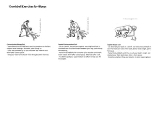 Dumbbell Exercises for Biceps
Concentration Biceps Curl
- Stand behind an inclined bench and rest one arm on the back
support while holding a dumbbell, palm facing up.
- Raise the dumbbell up to your shoulder and lower it back
down after a short pause.
- Only your lower arm should move throughout the exercise.
Seated Concentration Curl
- Sit on a bench, rest one arm against your thigh and hold a
dumbbell with that hand down between your legs, palm facing
the other leg.
- Raise the dumbbell until it reaches your shoulder and slowly
lower it back down after a short pause. Alternate after a set.
- Try NOT to jerk your upper body in en effort to help you lift
the weight.
Supine Biceps Curl
- Lie down on your back on a bench and hold one dumbbell on
each hand on each side of the body, below body height, palms
facing up.
- Raise the dumbbells until they reach your body's height and
slowly lower them back down after a short pause.
- Breathe out when lifting and breathe in when lowering back.
 