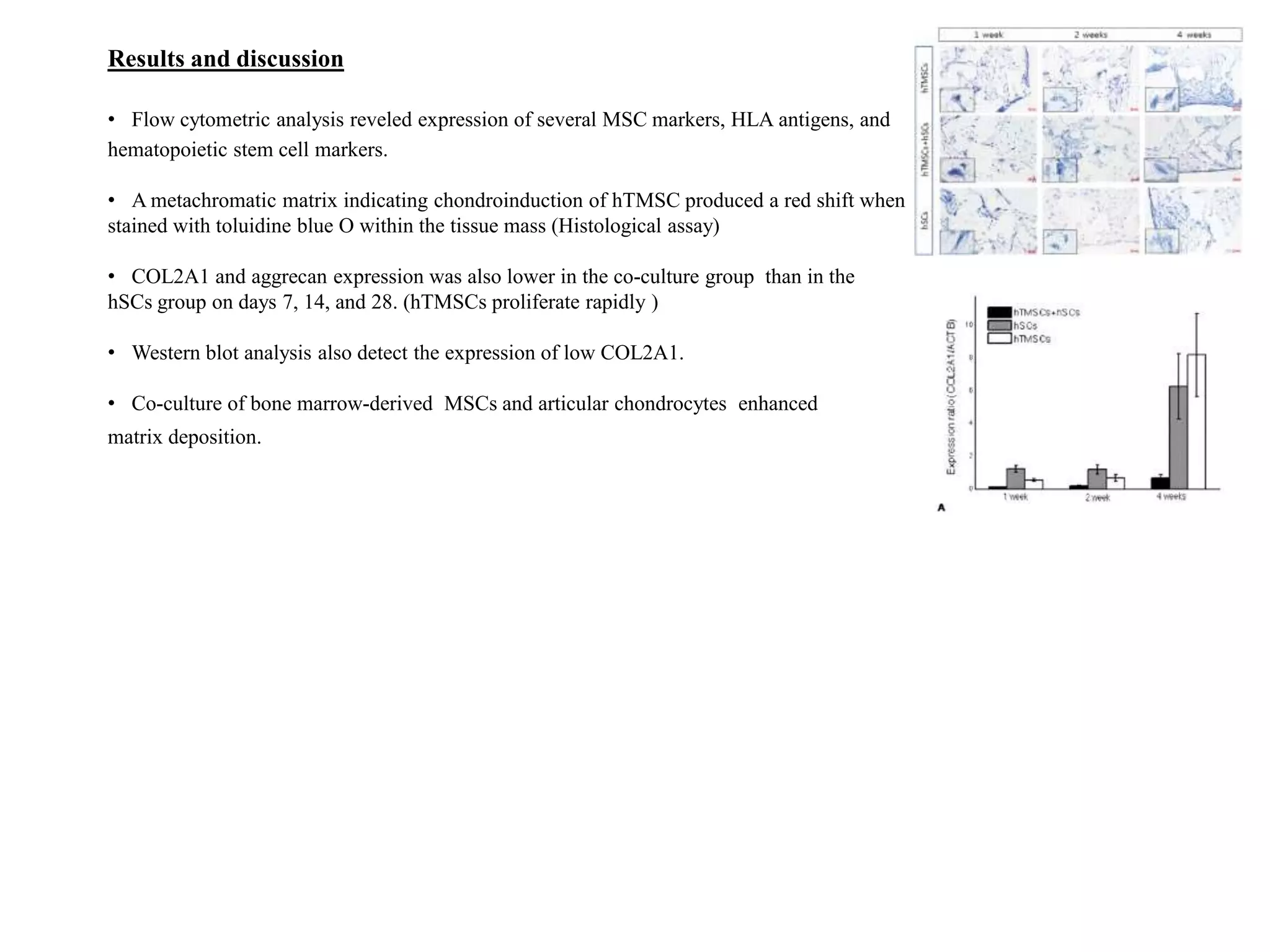 Results and discussion
• Flow cytometric analysis reveled expression of several MSC markers, HLA antigens, and
hematopoietic stem cell markers.
• A metachromatic matrix indicating chondroinduction of hTMSC produced a red shift when
stained with toluidine blue O within the tissue mass (Histological assay)
• COL2A1 and aggrecan expression was also lower in the co-culture group than in the
hSCs group on days 7, 14, and 28. (hTMSCs proliferate rapidly )
• Western blot analysis also detect the expression of low COL2A1.
• Co-culture of bone marrow-derived MSCs and articular chondrocytes enhanced
matrix deposition.
 