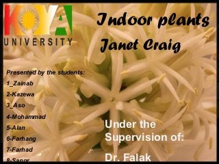 Janet Craig
Indoor plants
Presented by the students:
1_Zainab
2-Kazewa
3_Aso
4-Mohammad
5-Alan
6-Farhang
7-Farhad
8-Sangr
Under the
Supervision of:
Dr. Falak
 