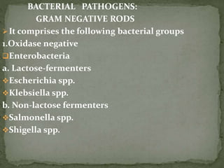 BACTERIAL PATHOGENS:
GRAM NEGATIVE RODS
It comprises the following bacterial groups
1.Oxidase negative
Enterobacteria
a. Lactose-fermenters
Escherichia spp.
Klebsiella spp.
b. Non-lactose fermenters
Salmonella spp.
Shigella spp.
 