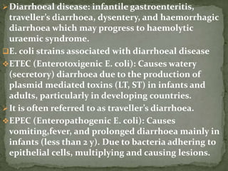 Diarrhoeal disease: infantile gastroenteritis,
traveller’s diarrhoea, dysentery, and haemorrhagic
diarrhoea which may progress to haemolytic
uraemic syndrome.
E. coli strains associated with diarrhoeal disease
ETEC (Enterotoxigenic E. coli): Causes watery
(secretory) diarrhoea due to the production of
plasmid mediated toxins (LT, ST) in infants and
adults, particularly in developing countries.
It is often referred to as traveller’s diarrhoea.
EPEC (Enteropathogenic E. coli): Causes
vomiting,fever, and prolonged diarrhoea mainly in
infants (less than 2 y). Due to bacteria adhering to
epithelial cells, multiplying and causing lesions.
 