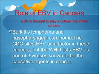 Role of EBV in Cancers
EBV is thought to play a critical role in two
cancers:
Burkitt's lymphoma and
nasopharyngeal carcinoma.The
CDC sites EBV as a factor in these
cancers, but the WHO lists EBV as
one of 3 viruses known to be the
causative agents in cancer.
 