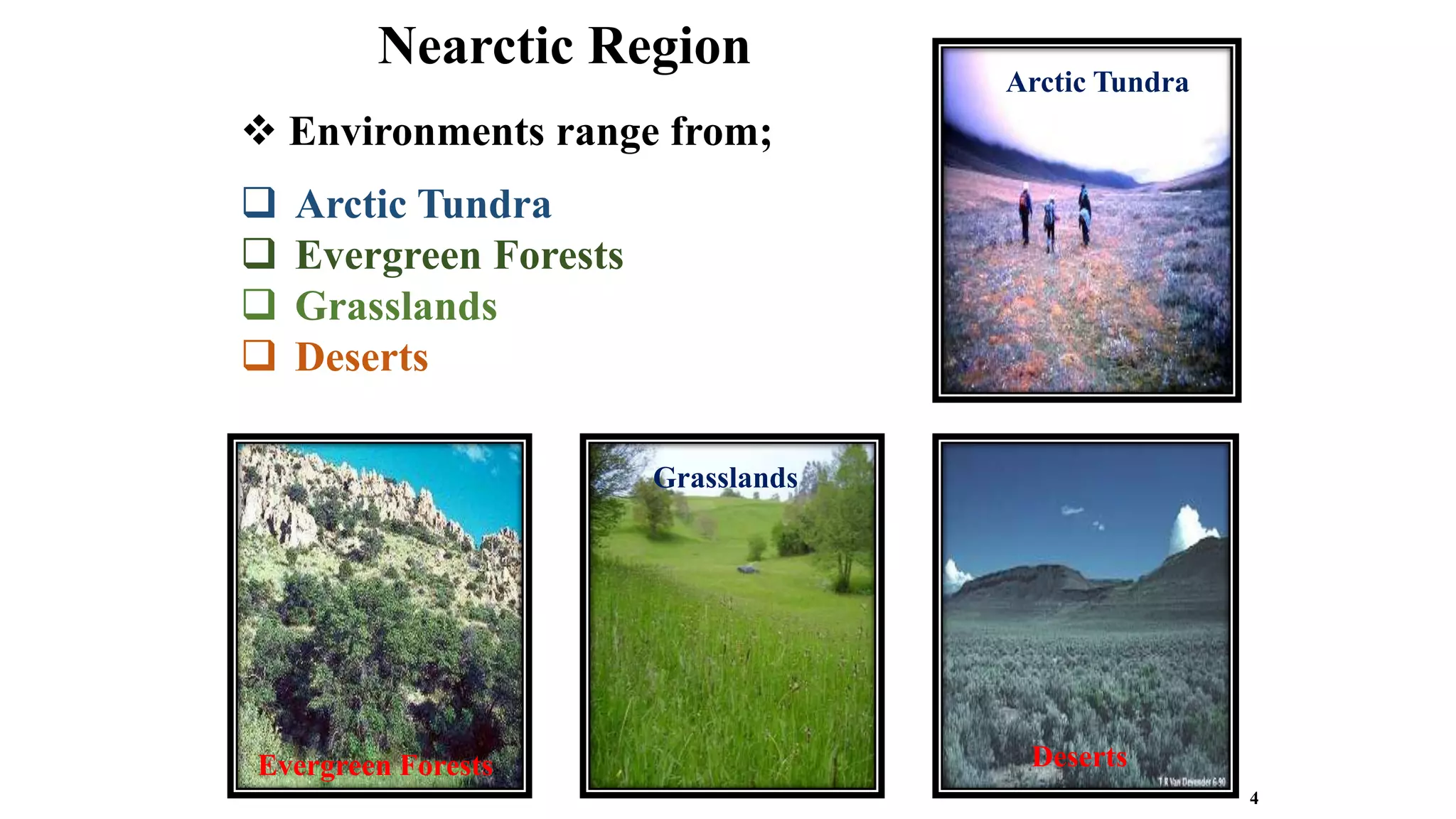  Environments range from;
 Arctic Tundra
 Evergreen Forests
 Grasslands
 Deserts
Nearctic Region
4
Arctic Tundra
Evergreen Forests Deserts
Grasslands
 