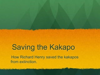 Saving the Kakapo
How Richard Henry saved the kakapos
from extinction.
 