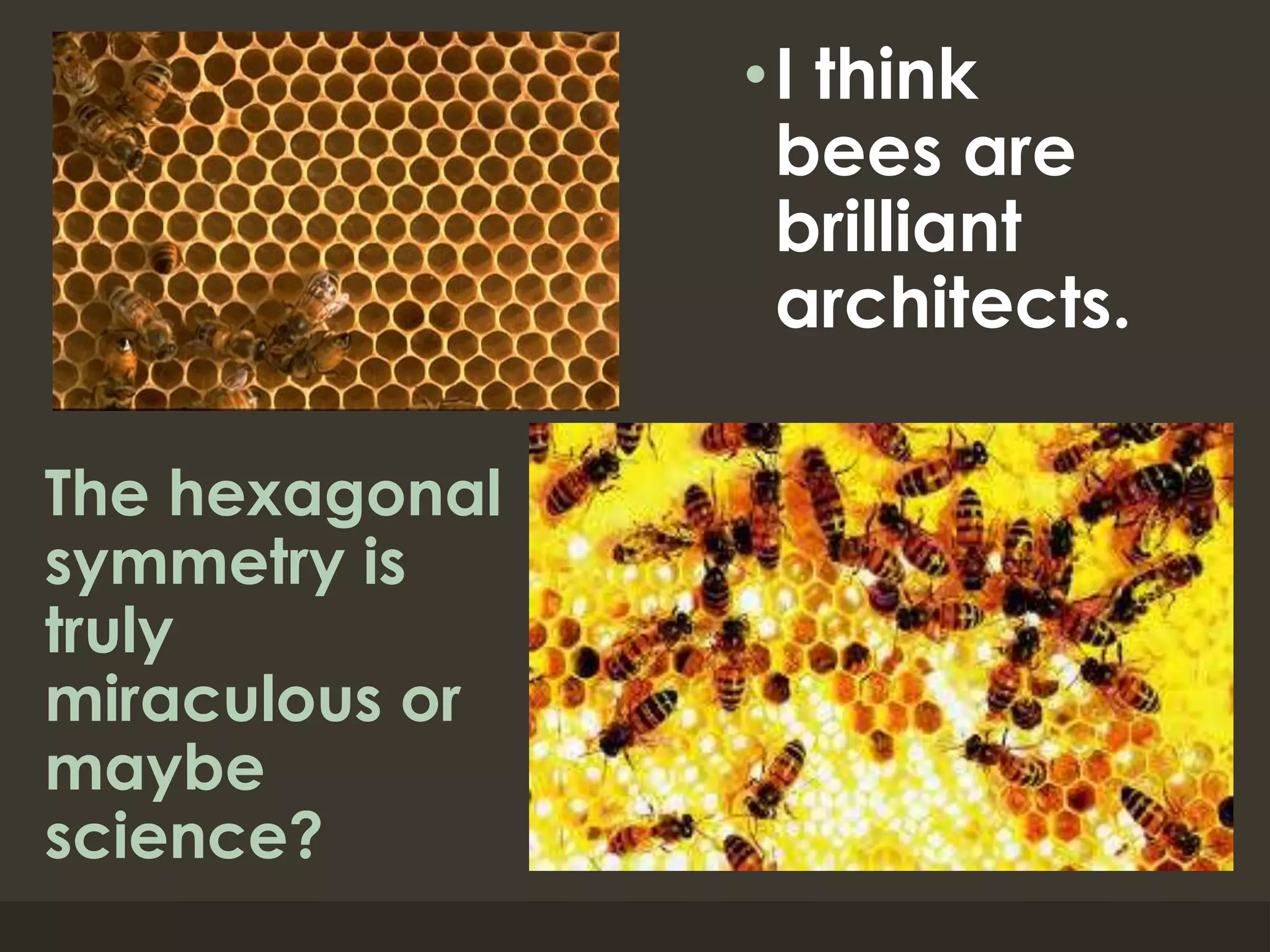 The hexagonal
symmetry is
truly
miraculous or
maybe
science?
•I think
bees are
brilliant
architects.
 
