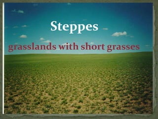 Steppes
grasslands with short grasses
 