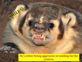 He’s either being aggressive or smiling for the
camera.
 