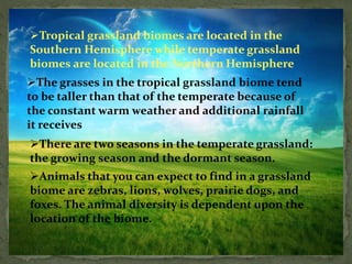 Tropical grassland biomes are located in the
Southern Hemisphere while temperate grassland
biomes are located in the Northern Hemisphere
The grasses in the tropical grassland biome tend
to be taller than that of the temperate because of
the constant warm weather and additional rainfall
it receives
There are two seasons in the temperate grassland:
the growing season and the dormant season.
Animals that you can expect to find in a grassland
biome are zebras, lions, wolves, prairie dogs, and
foxes. The animal diversity is dependent upon the
location of the biome.
 