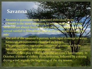 Savanna
Savanna is grassland with scattered individual trees.
Climate is the most important factor in creating a savanna.
Savannas are always found in warm or hot climates where the
annual rainfall is from about 50.8 to 127 cm (20-50 inches) per
year.
The soil of the savanna is porous, with rapid drainage of water.
Savannas are sometimes classified as forests.
The predominant vegetation consists of grasses and forbs .
Savanna has both a dry and a rainy season.
. Seasonal fires play a vital role in the savanna's biodiversity. In
October, a series of violent thunderstorms, followed by a strong
drying wind, signals the beginning of the dry season.
 