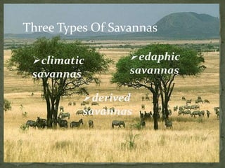 Three Types Of Savannas
climatic
savannas
edaphic
savannas
derived
savannas
 