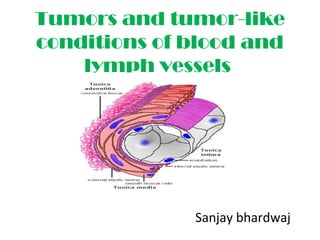 Tumors and tumor-like
conditions of blood and
lymph vessels
Sanjay bhardwaj
 