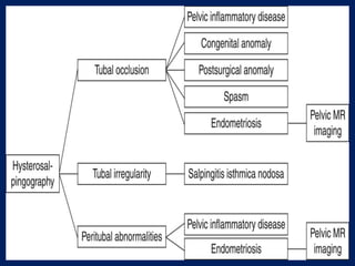 Presentation1.pptx, radiological imaging of female infertility. | PPT