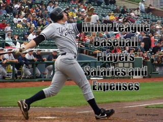 Minor League Baseball Player Salaries vs Expense | 2010 Sports