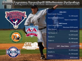 Minor League Baseball Player Salaries vs Expense 2010 Sports