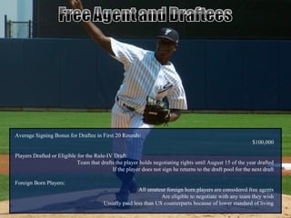 Minor League Baseball Player Salaries vs Expense 2010 Sports