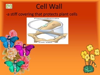 Cell Wall
-a stiff covering that protects plant cells
 