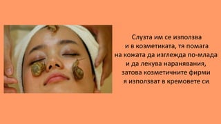 Слузта им се използва
и в козметиката, тя помага
на кожата да изглежда по-млада
и да лекува наранявания,
затова козметични...