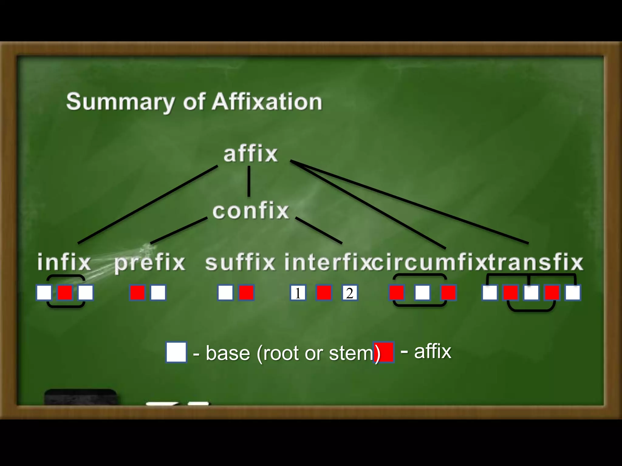 1 2
- affix- base (root or stem)
 