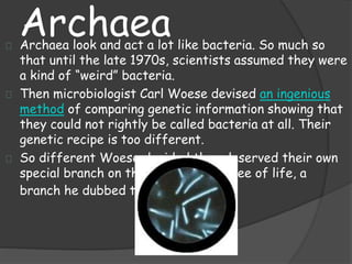 ArchaeaArchaea look and act a lot like bacteria. So much so
that until the late 1970s, scientists assumed they were
a kind of “weird” bacteria.
Then microbiologist Carl Woese devised an ingenious
method of comparing genetic information showing that
they could not rightly be called bacteria at all. Their
genetic recipe is too different.
So different Woese decided they deserved their own
special branch on the great family tree of life, a
branch he dubbed the Archaea.
 